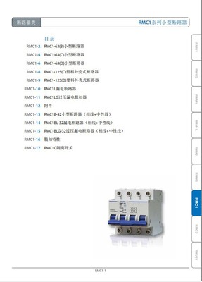 正品【上海上聯(lián)】RMC1-63 D16A/2P系列小型斷路器 優(yōu)質(zhì)供應與產(chǎn)品圖片詳解